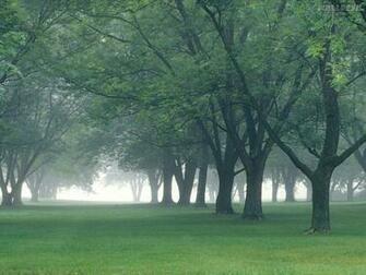 Papel De Parede Early Morning Mist Central Indiana Fotos Gr Tis