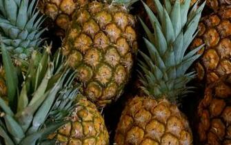 Pineapple Computer Wallpaper Desktop Background Id