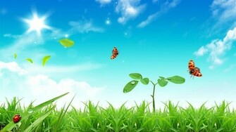 Beautiful Wallpaper Lovely Stylish Desktop