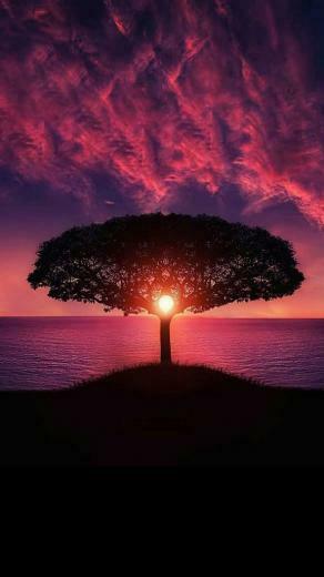 Trending Wallpaper Beautiful Design