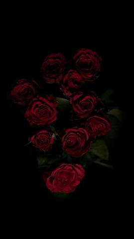 Black Rose Aesthetic Wallpaper On