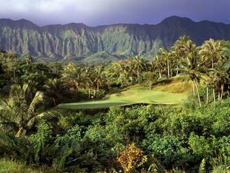 Hawaiian Vegetation Wallpaper And Image Pictures