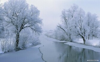 Wallpaper Winter Wonderland