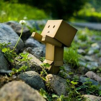 Funny iPad Wallpaper HD 9to5wallpaper