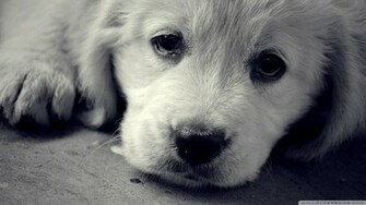 Sad Eyes Wallpaper