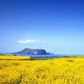 Click Select Set As Desktop Background Wallpaper World Korea
