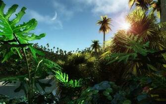 Paradise High Quality And Resolution Wallpaper