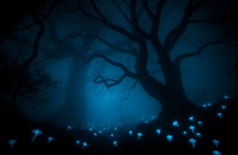 Dark HD Wallpaper 1080p