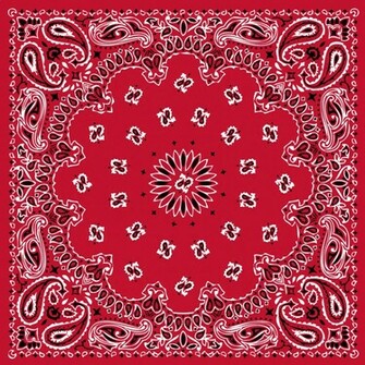 Red Bandana Pattern