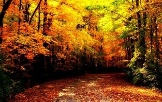 Autumn Wallpaper