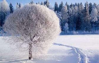Phone Screensavers And Wallpaper Nature Htc