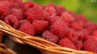 Youwall Red Berries Wallpaper