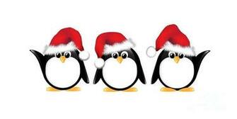 Christmas Penguins Isolated Is A Photograph By Jane Rix Which Was