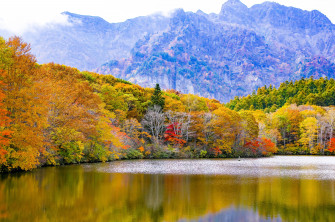 Wallpaper Id Forest Landscape Idyllic Mountain