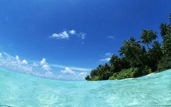 Hawaii Beach