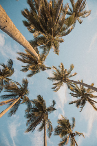 Best Ios Summer Wallpaper For Your Home Screen Aesthetic
