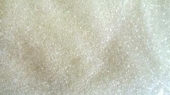 Sugarcane Wallpaper