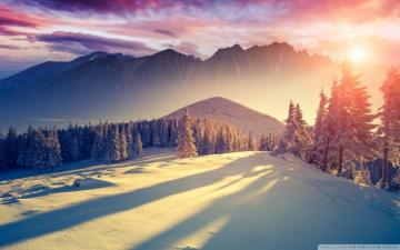 Sunset Winter Shadows Ultra HD Desktop Background Wallpaper For 4k