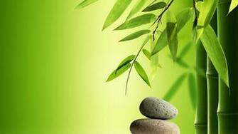 Zen Stones Bamboo Water HD Wallpaper Desktop