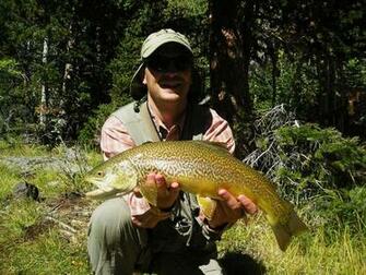 Brook Trout Wallpaper