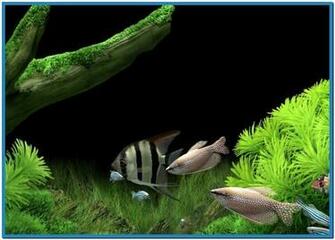 Aquarium Screensaver Windows