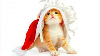 Jaspreet Rekhi Beautiful Christmas Full HD Wallpaper 1080p Rar
