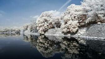 Wallpaper Japan Coast River Stone Trees Landscape Sky