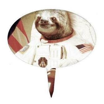 Sloth Astronaut Wallpaper Cake Ideas And Designs