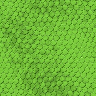 Snake Reptile Skin Texture