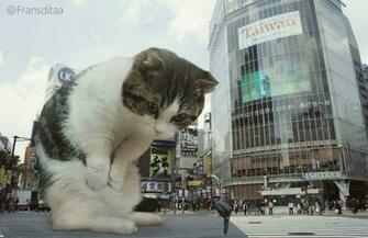 Catzilla