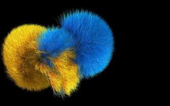 3d Blue And Yellow Fur Background Wallpaper