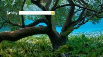 Microsoft Releases Bing Wallpaper Screensaver Pack