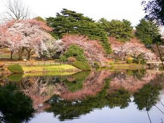 Shinjuku Gyoen National Garden Japan Pixdaus