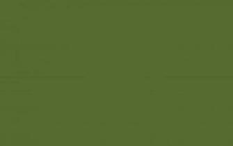 Resolution Dark Olive Green Solid Color Background