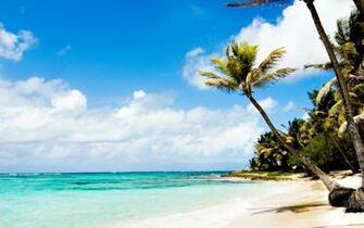 Marie Galante Caribbean Beach Wallpaper