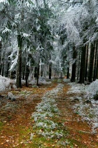 Winter Park iPhone HD Wallpaper