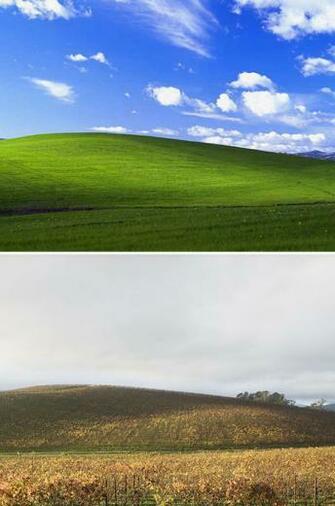 Microsoft Bliss Wallpaper