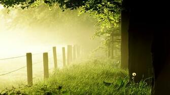 Sunny Summer Day Desktop Wallpaper