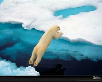 Wallpaper HD Desktop Online National Geographic