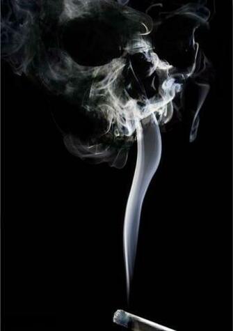 Smoke Skull Photo Smoking 7994jpg HD Walls Find Wallpaper