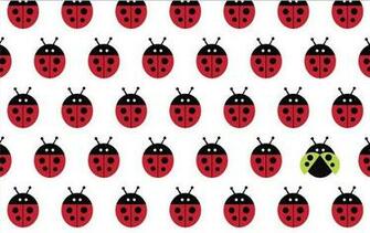 Cute Ladybug Background Love