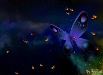 Happy Butterfly Screensaver