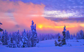 Best Desktop Wallpaper Winter You Can Get It At No Cost