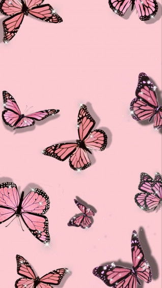Pink Butterfly Aesthetic Wallpaper