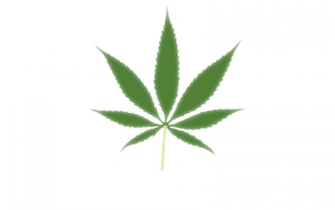 Drugs Leaves Marijuana HD Wallpaper Color Palette Tags