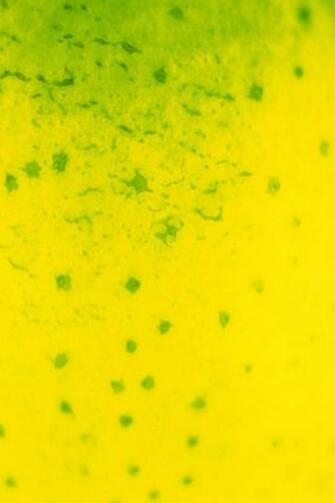 Yellow And Green Background