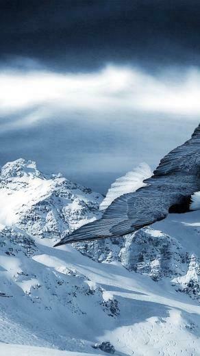 Wallpaper Beautiful Eagle Fly Over The White
