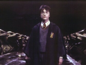 The Movie Chamber Of Secrets Wallpaper