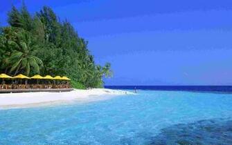 Maldives Paradise Island Wallpaper Cities