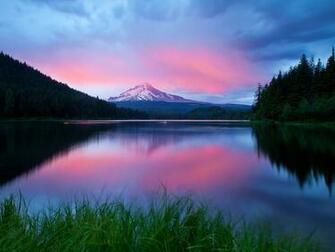The Purple Landscape Wallpaper Screensavers